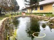 Изображение Кафе